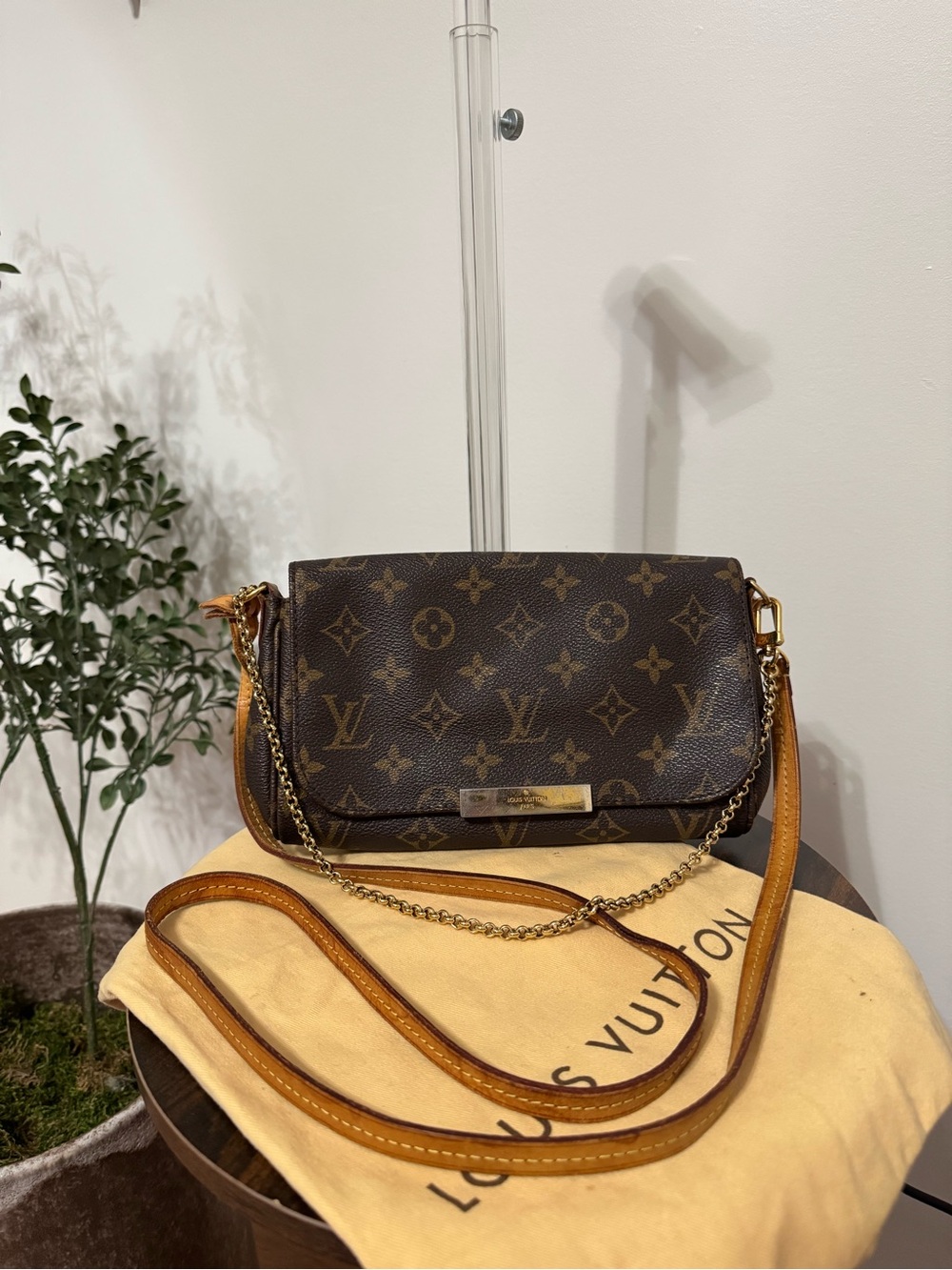 Louis Vuitton Favorite PM – Made in France (2013) with Authentic Dust Bag!